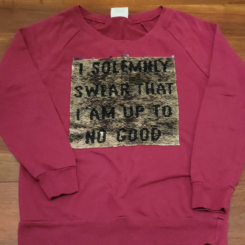 Harry Potter Wizard Warner Bros. Burgundy Sweatshirt